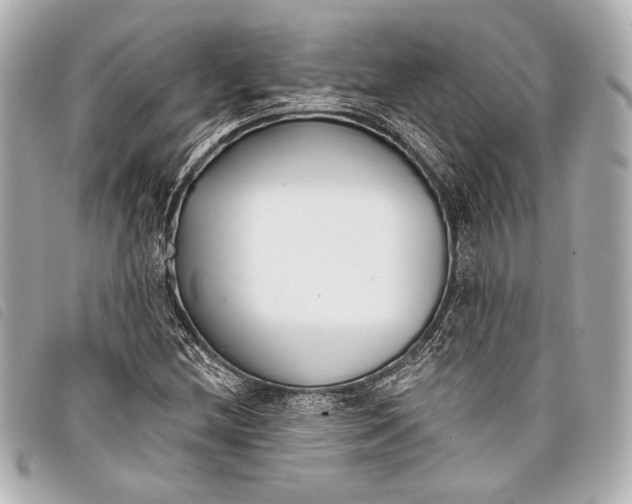 X0000098111212200804181442