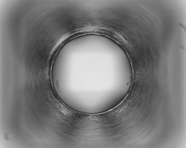X0000098111216200804181442
