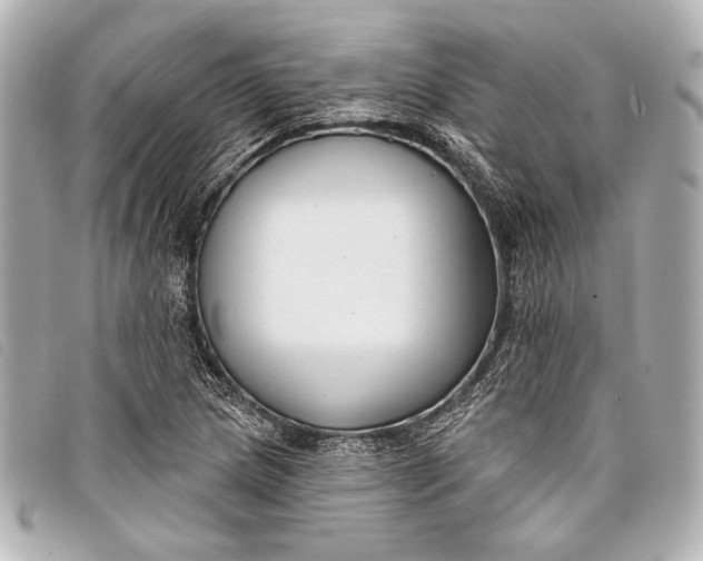X0000098111217200804181442