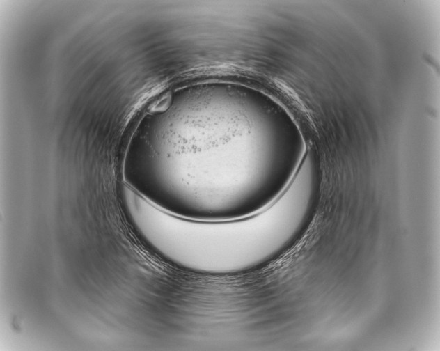 X0000098111218200804181442