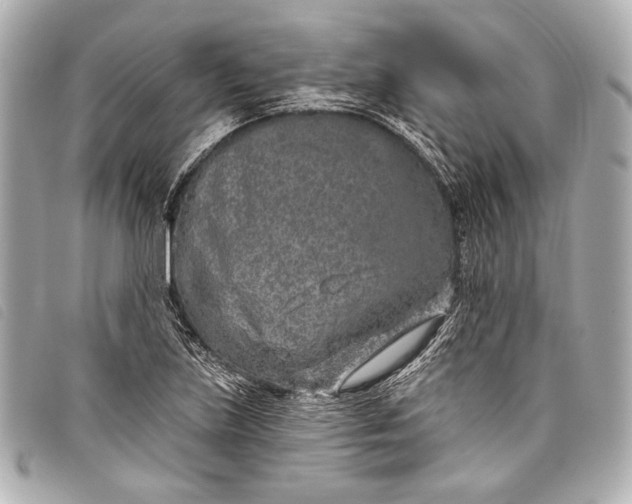 X0000098111219200804181443