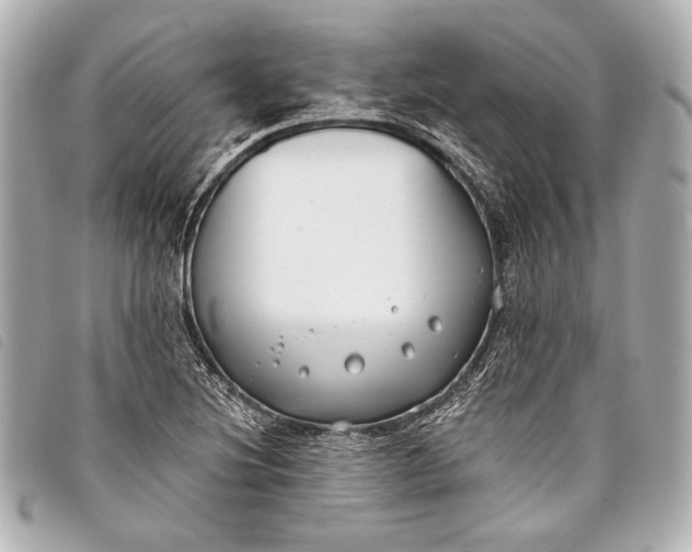 X0000098111220200804181443