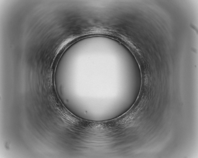 X0000098111222200804181443