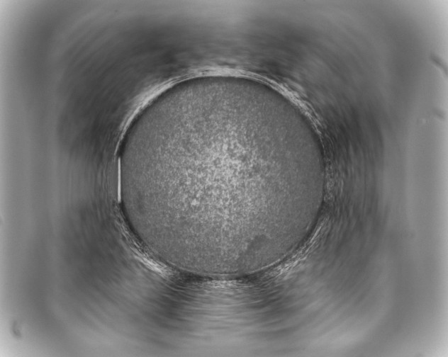 X0000098111223200804181443