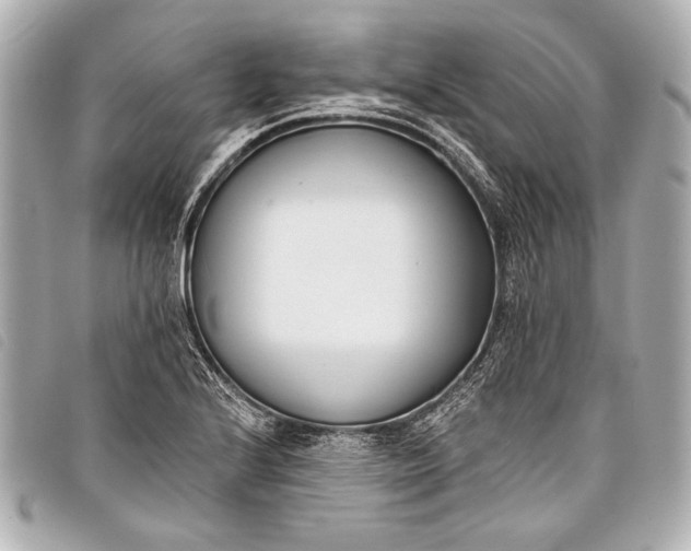 X0000098111224200804181443