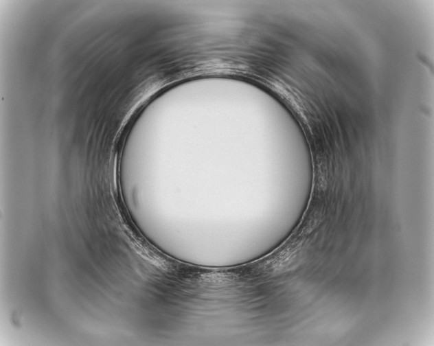 X0000098111227200804181443