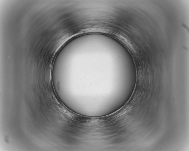 X0000098111228200804181443
