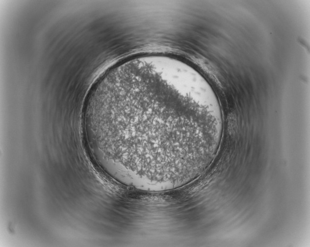 X0000098111229200804181443