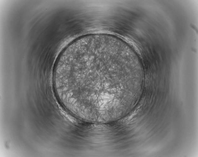 X0000098111231200804181443
