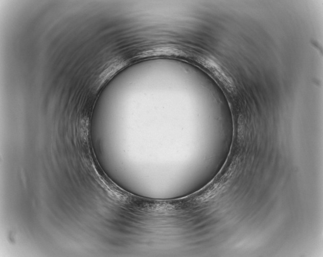 X0000098111233200804181443