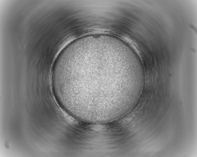 X0000098111235200804181443