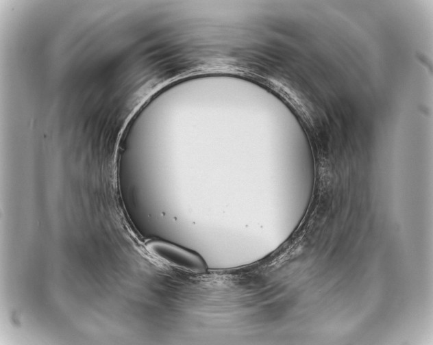 X0000098111236200804181443