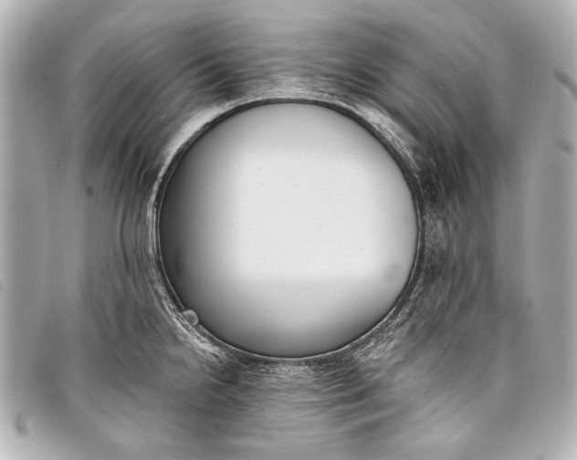 X0000098111238200804181443
