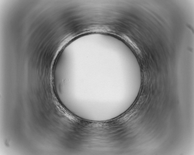 X0000098111240200804181443