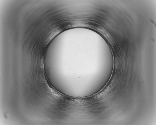 X0000098111241200804181443