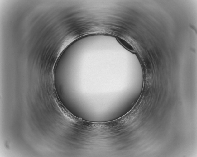 X0000098111242200804181443
