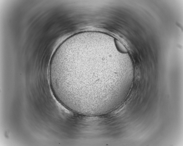 X0000098111247200804181443