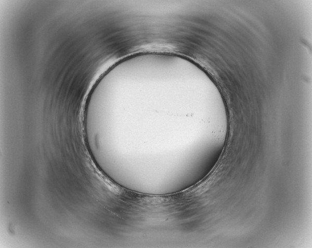 X0000098111248200804181443