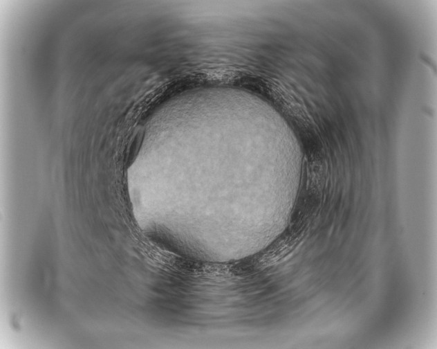 X0000098111249200804181442