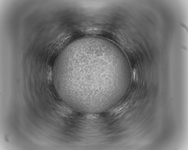 X0000098111251200804181442
