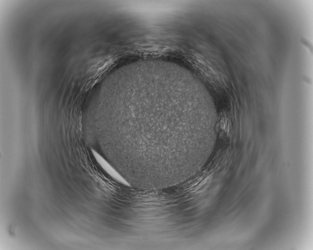 X0000098111252200804181442