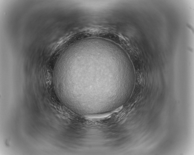 X0000098111253200804181442