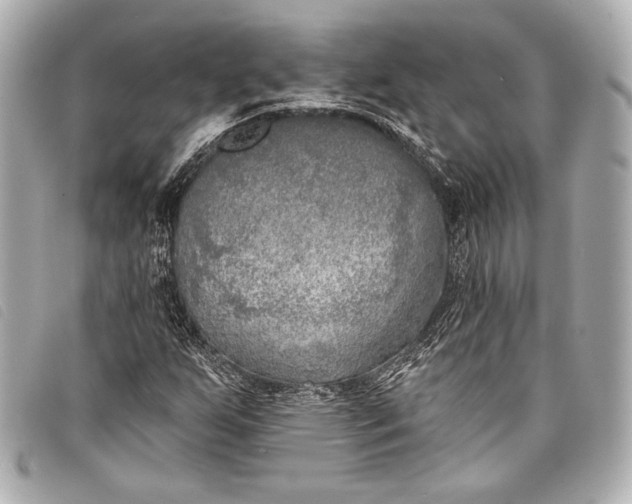 X0000098111255200804181442