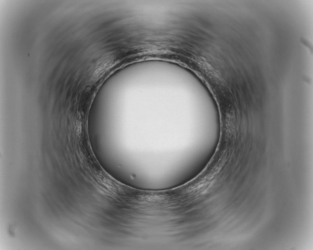 X0000098111257200804181442