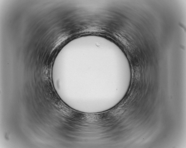X0000098111258200804181442