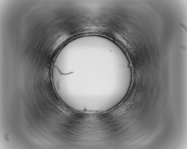 X0000098111259200804181442