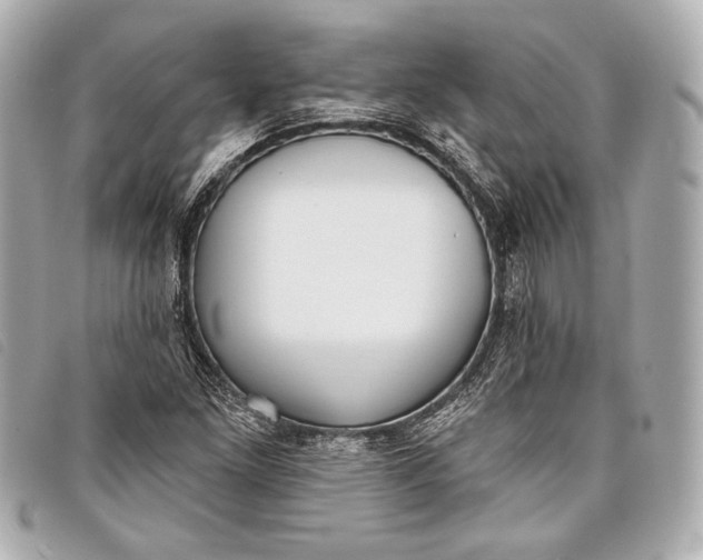 X0000098111261200804181442