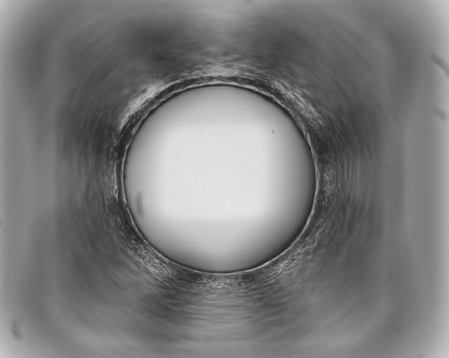 X0000098111262200804181442