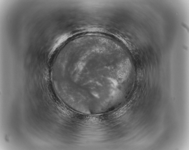X0000098111263200804181442