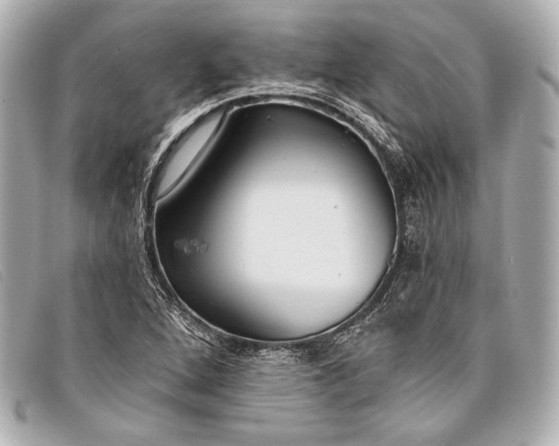 X0000098111264200804181442