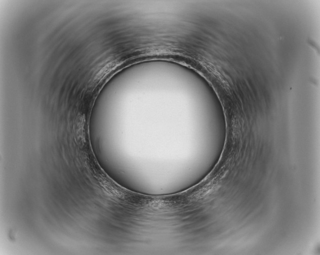 X0000098111265200804181442