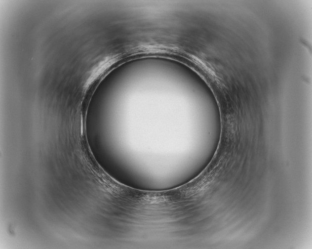 X0000098111269200804181442