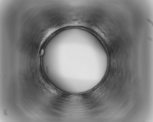 X0000098111270200804181442