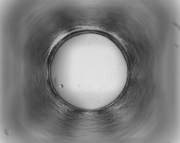 X0000098111271200804181442