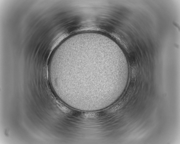 X0000098111274200804181442