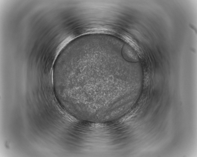 X0000098111275200804181442