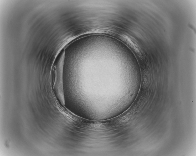 X0000098111276200804181442