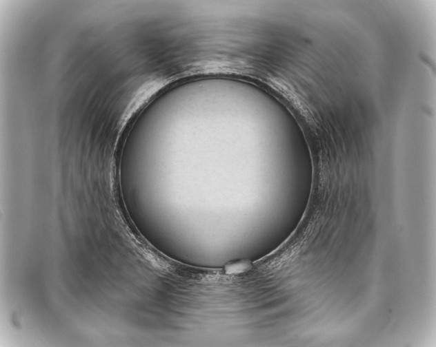 X0000098111277200804181442