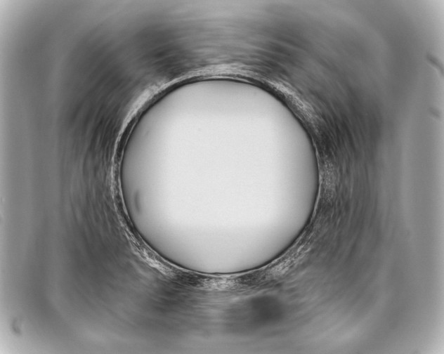 X0000098111278200804181442