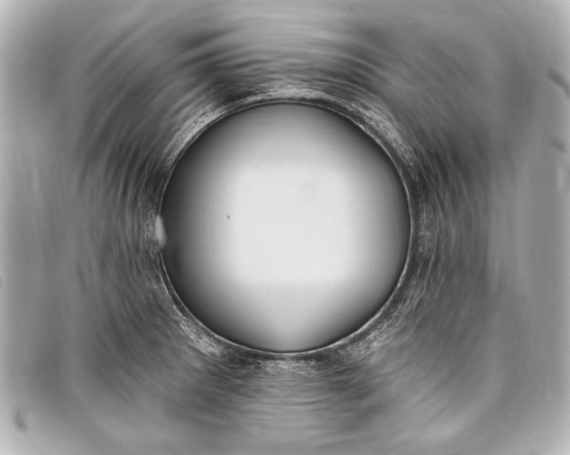 X0000098111281200804181442