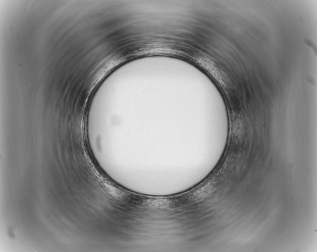 X0000098111282200804181442