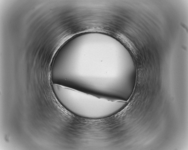 X0000098111284200804181441