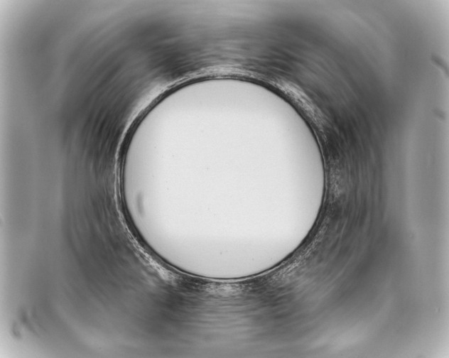 X0000098111286200804181441