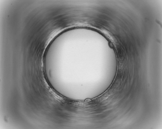 X0000098111287200804181441