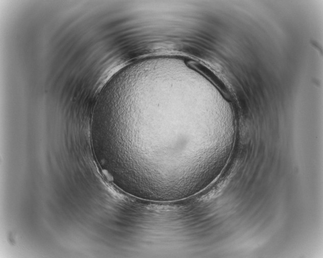 X0000098111289200804181441