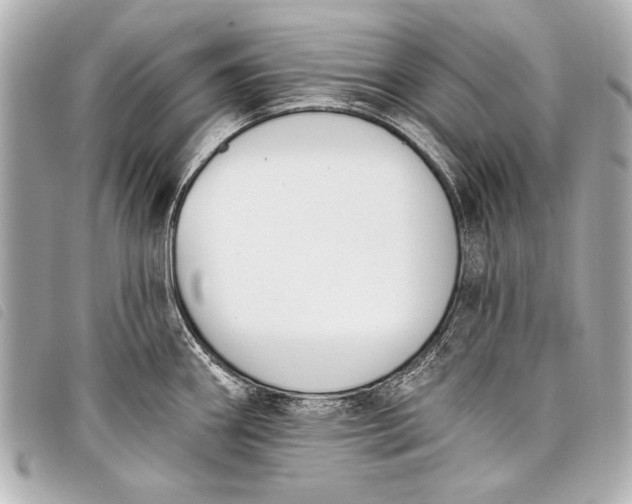 X0000098111290200804181441